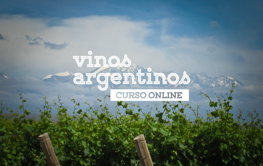 Vinos argentinos curso online