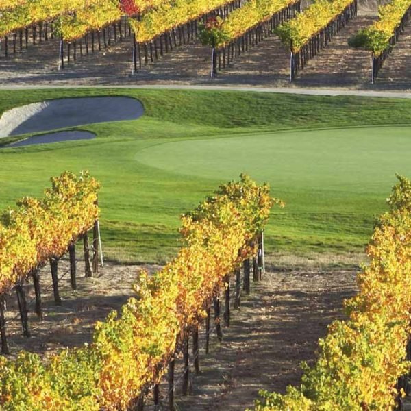 Golf viñedos