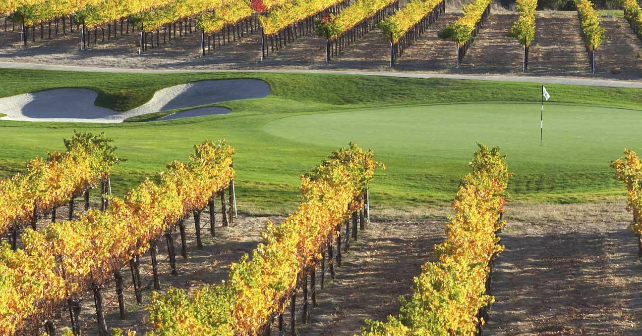 Golf viñedos