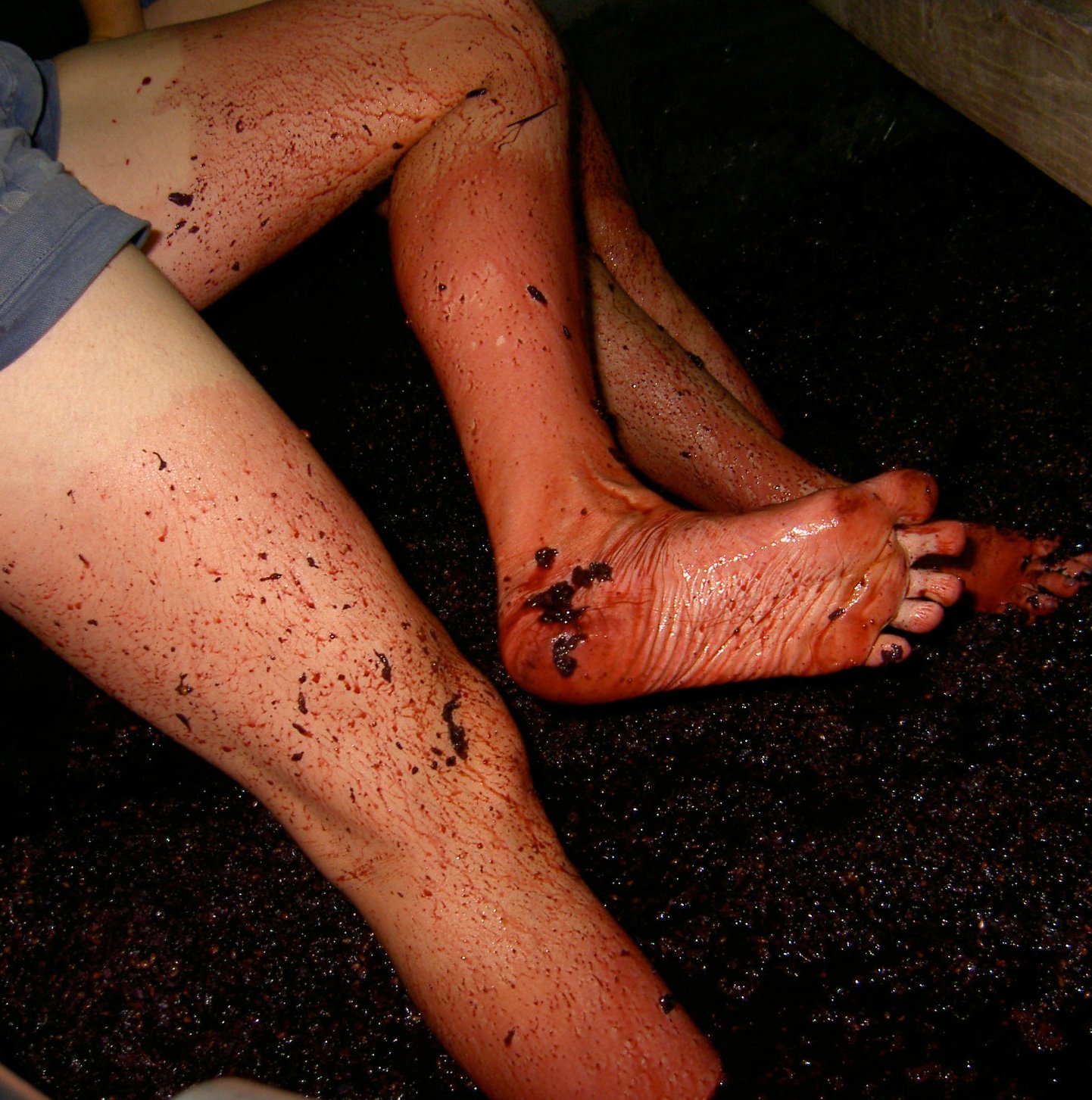 Vinos naturales