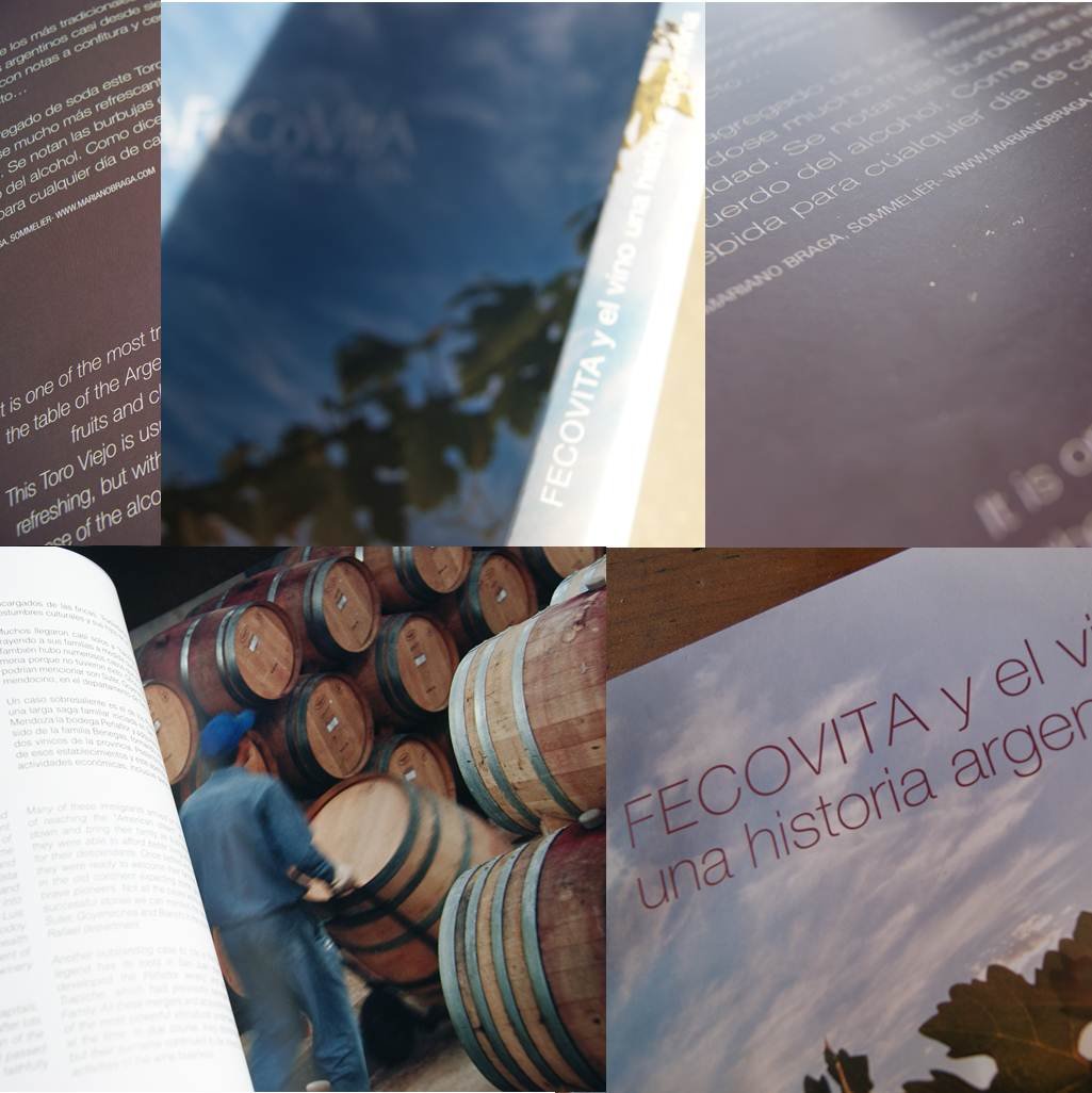 Toro Viejo