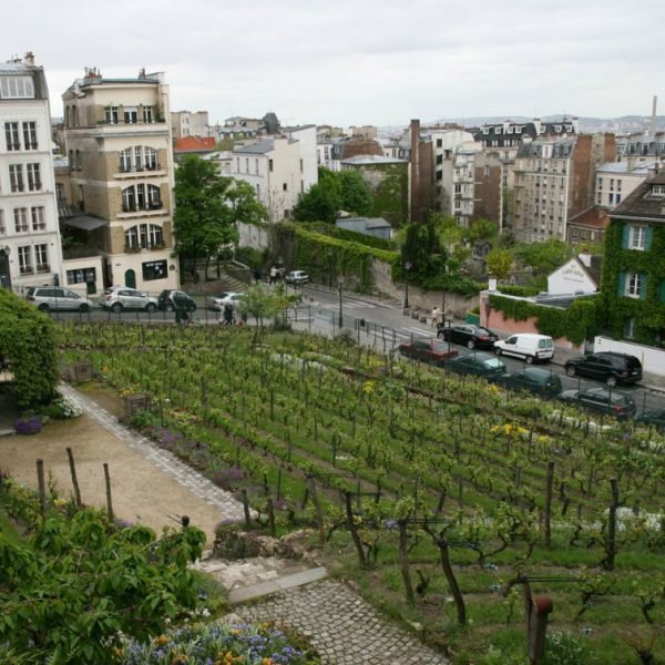 Vino Paris Montmartre Manhattan