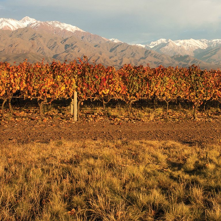 Traslasierra vinos Córdoba