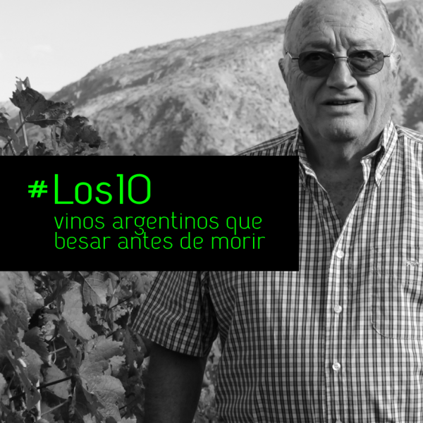 Los 10 vinos de Palo Domingo