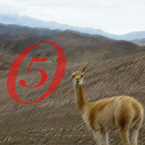 5 vinos para conocer Salta