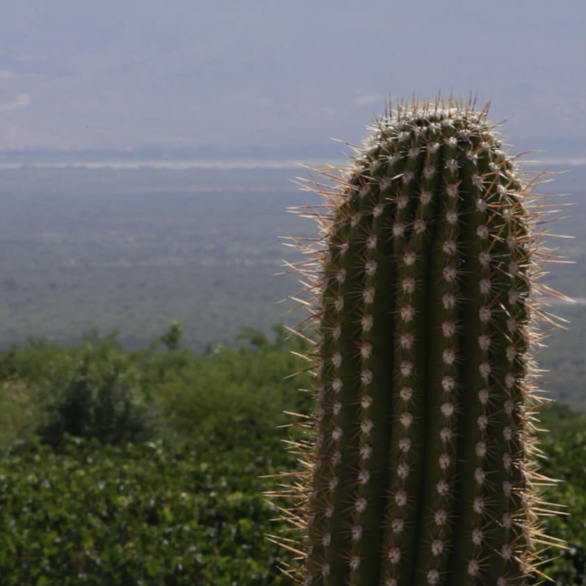 cafayate