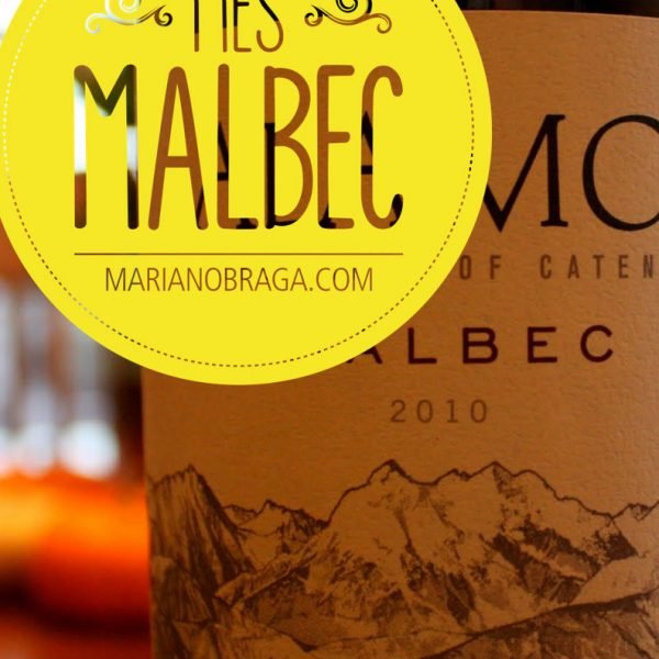 ¿Cómo es un vino Malbec?