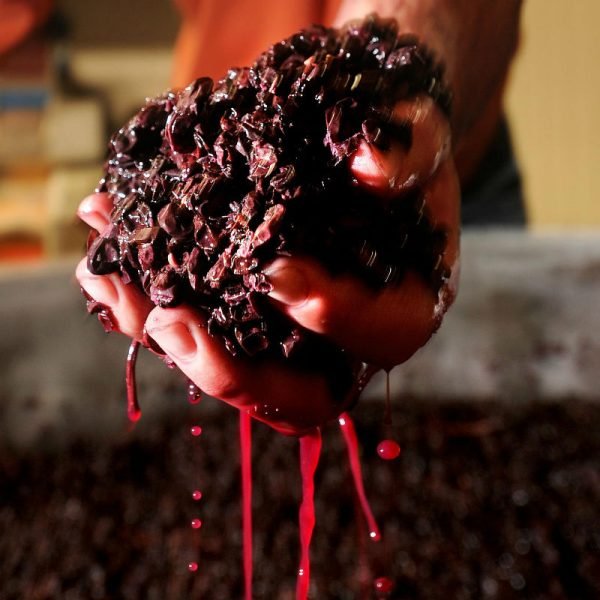 Un vino cofermentado... ¿qué es?