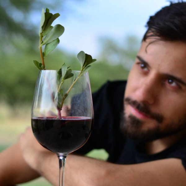 vinos veganos