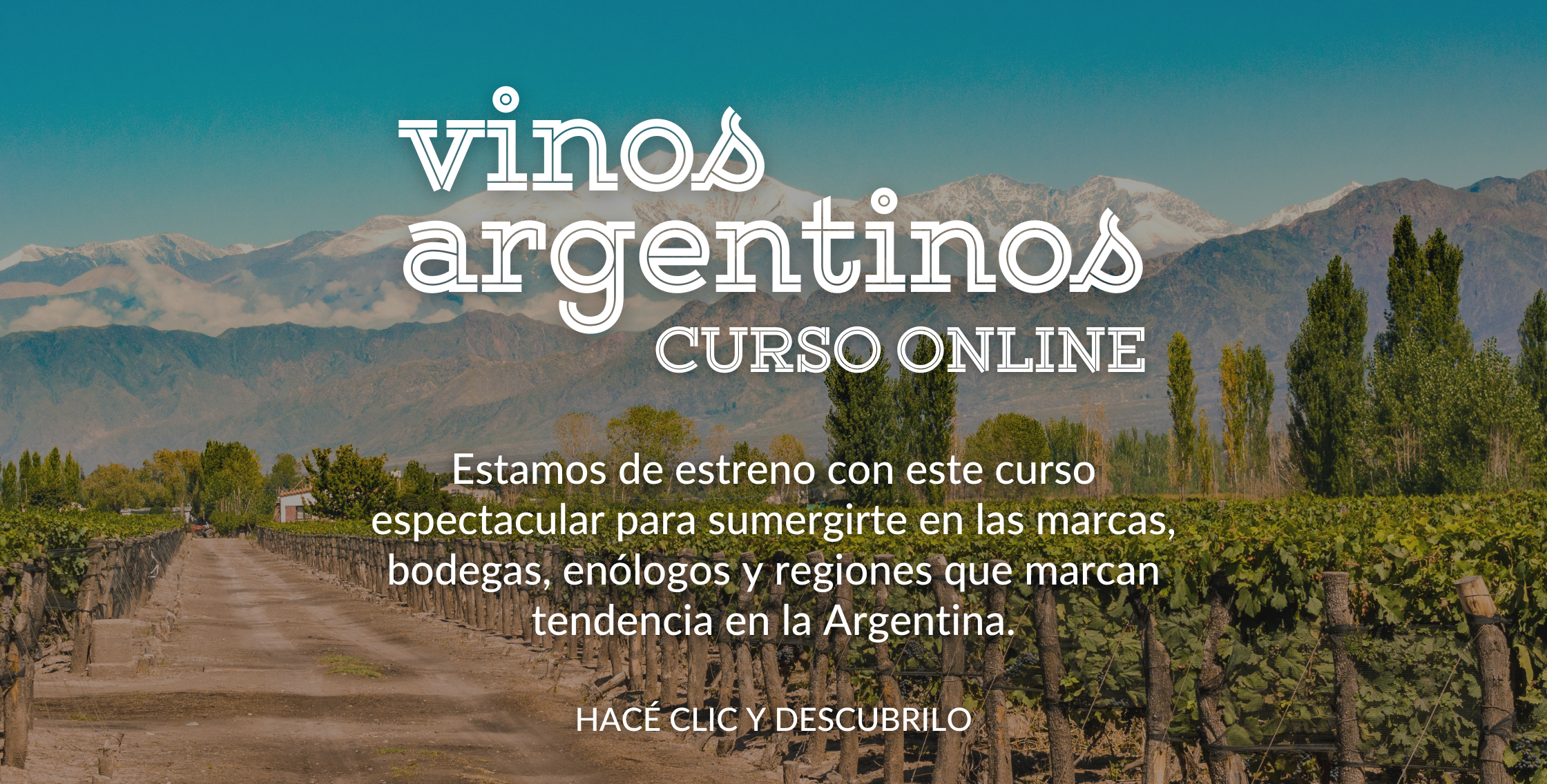 Vinos argentinos curso online