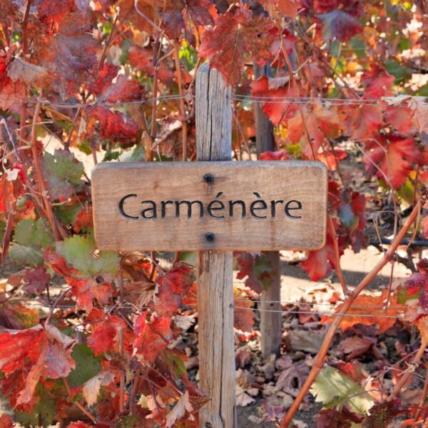 Carménère