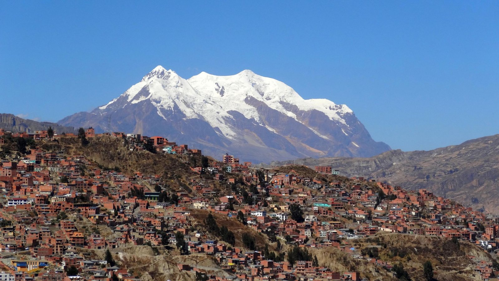 vinos-de-altura-en-bolivia