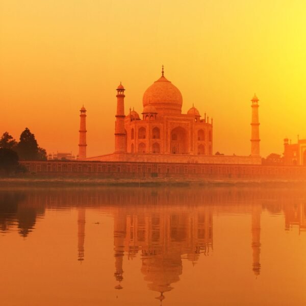vinos-de-india