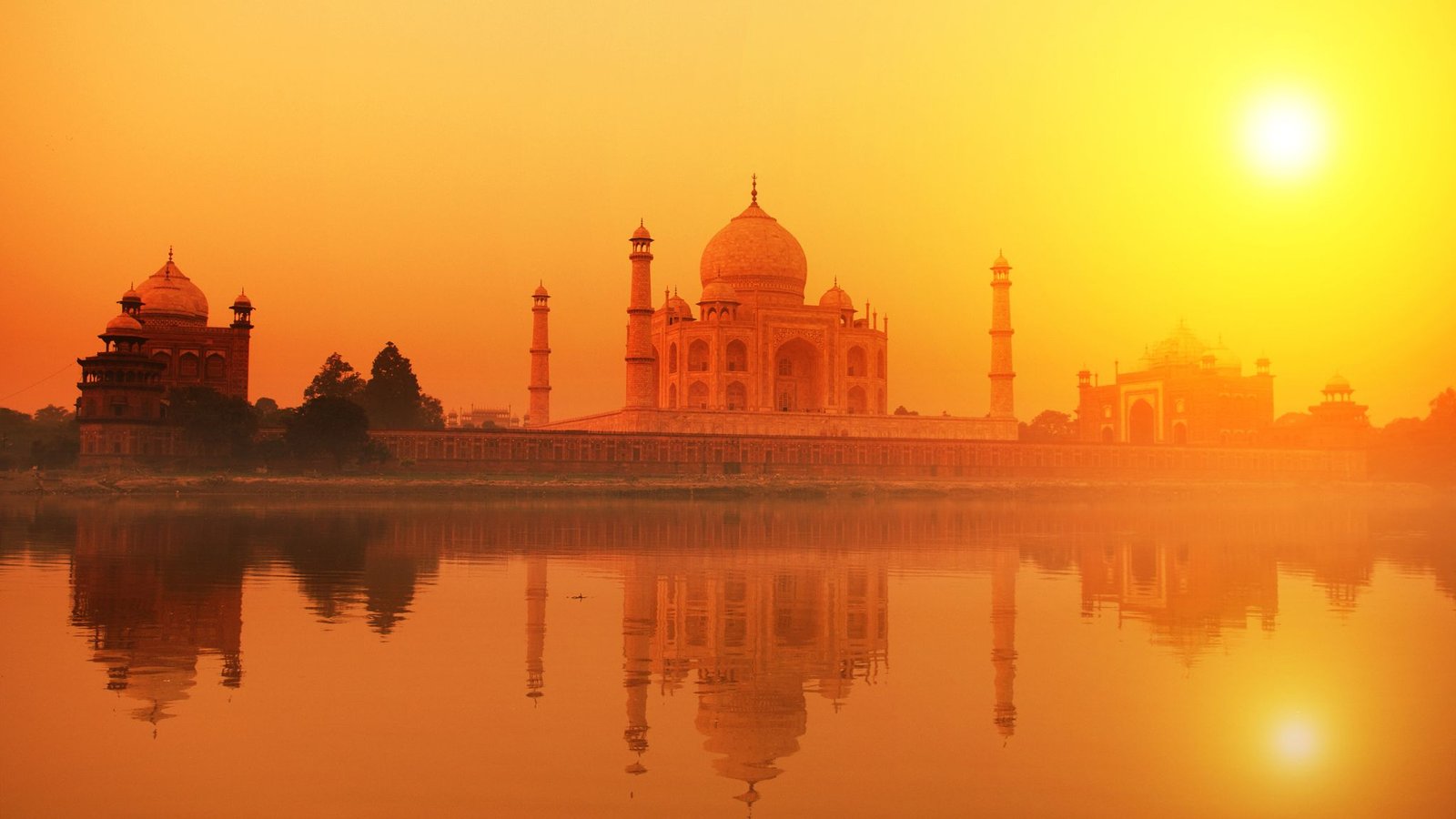 vinos-de-india