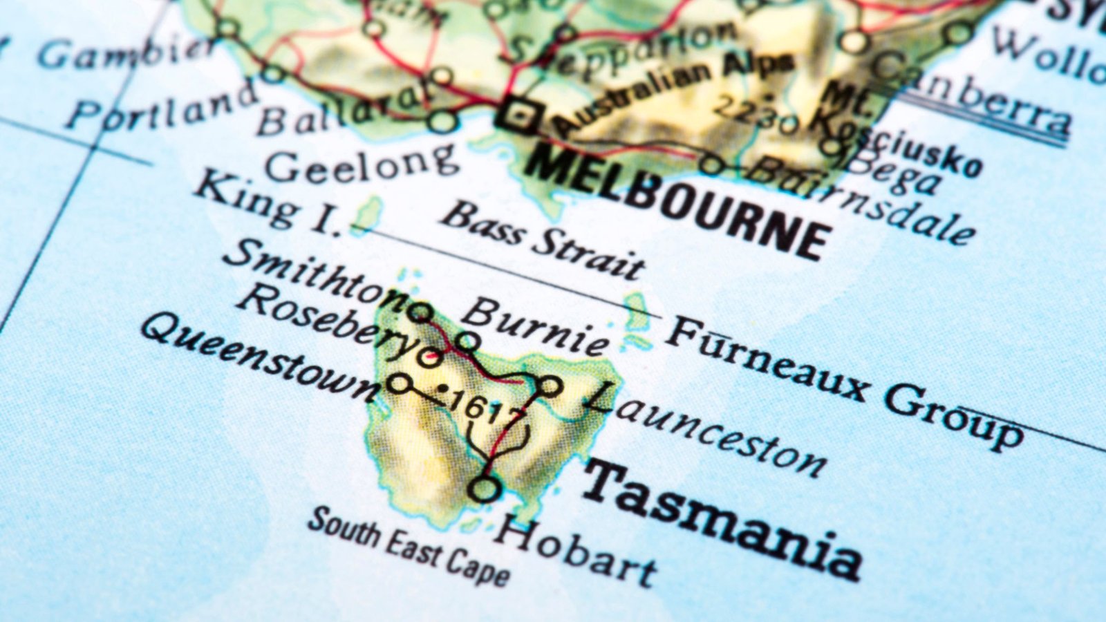 vinos-de-tasmania