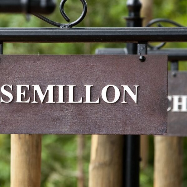 Semillon