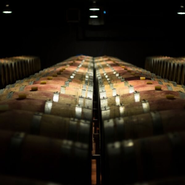 polimerizacion-de-taninos