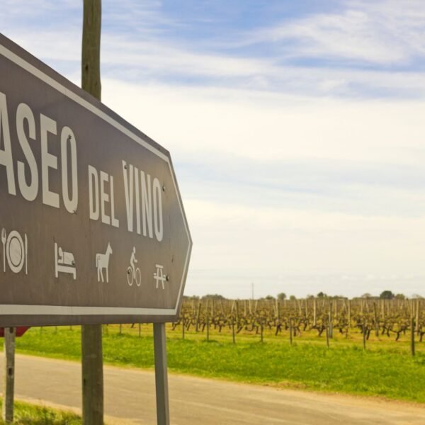 rutas-de-vino-emergentes