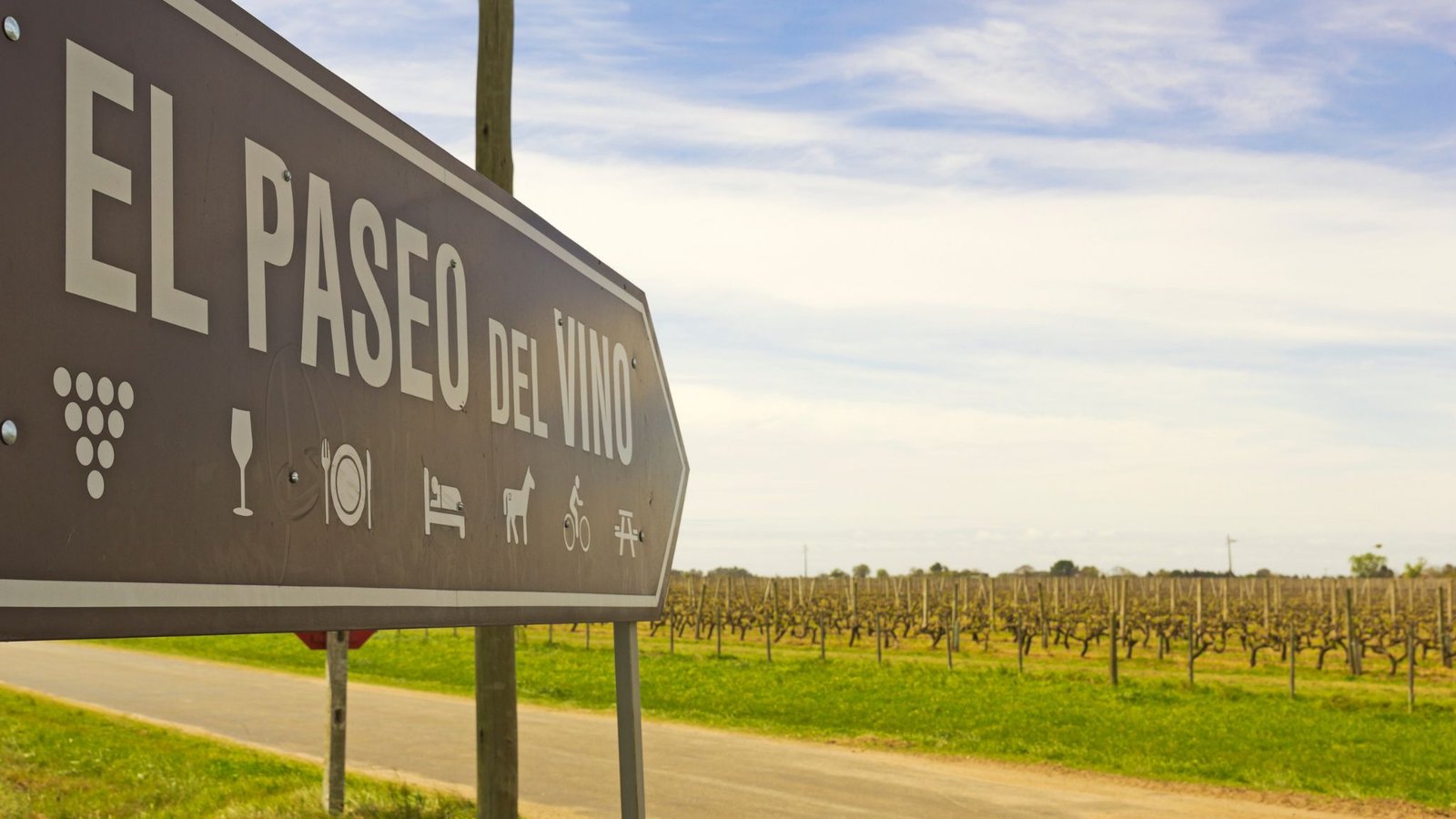 rutas-de-vino-emergentes