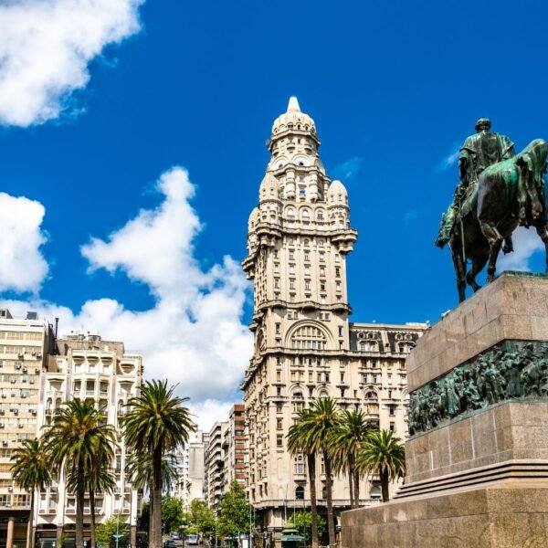 como-llego-uruguay-a-ser-una-referencia-mundial-del-vino
