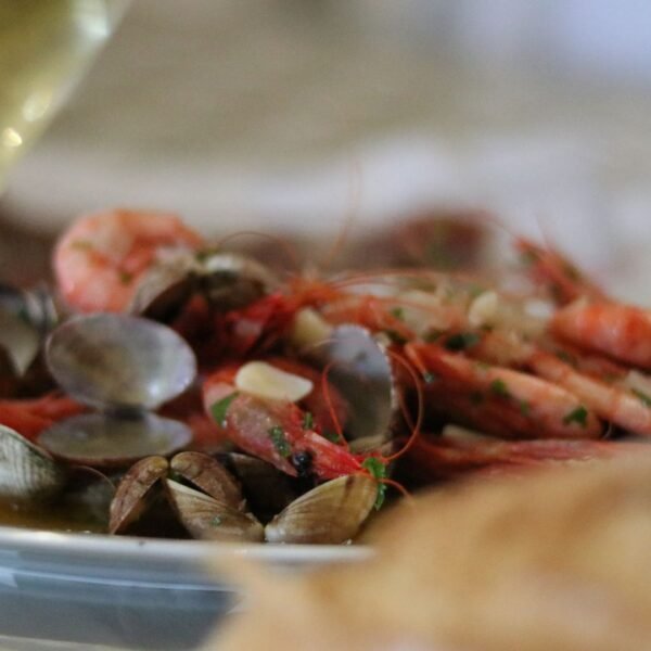 maridajes-regionales-vino-gastronomia-territorio