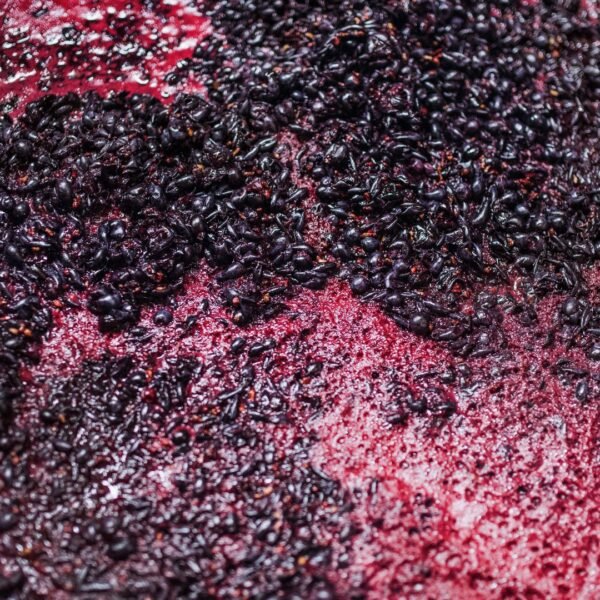 mosto-uva-elaboracion-del-vino