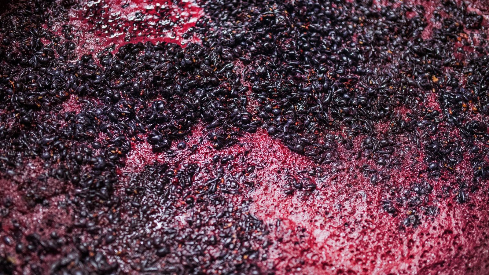 mosto-uva-elaboracion-del-vino