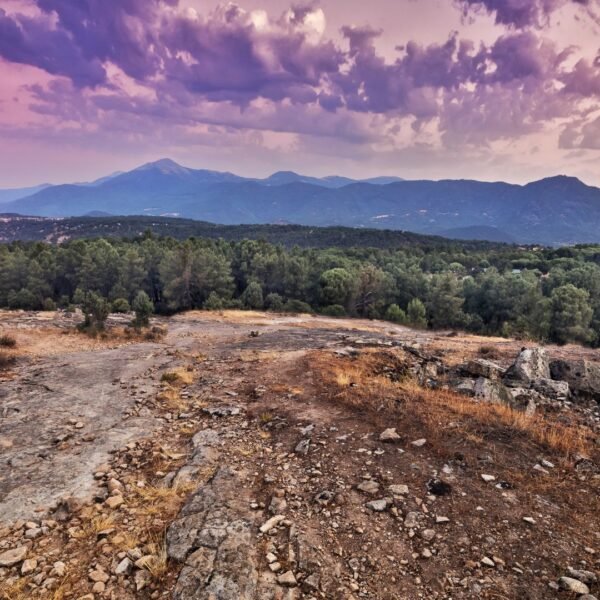 garnacha-en-gredos