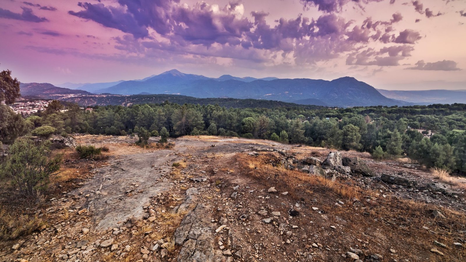 garnacha-en-gredos