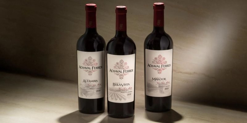 Los mejores vinos de Argentina