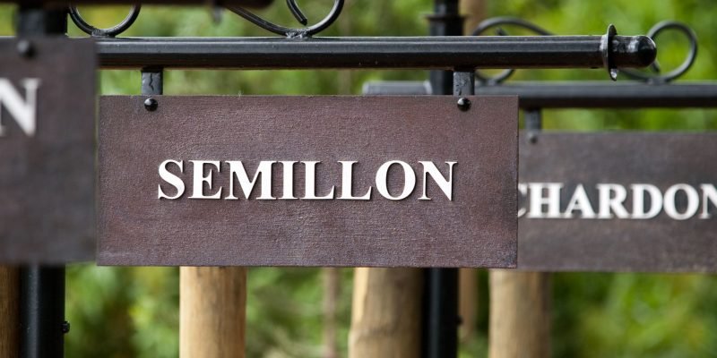 Semillon