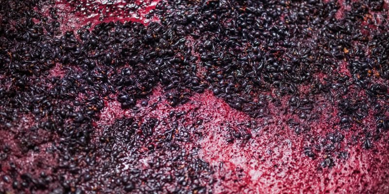 mosto-uva-elaboracion-del-vino