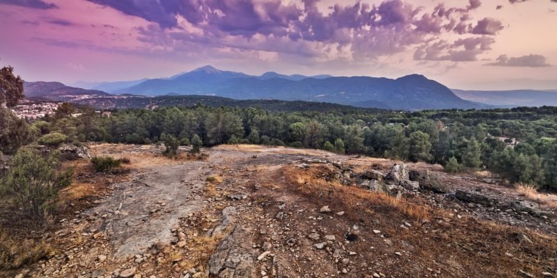 garnacha-en-gredos