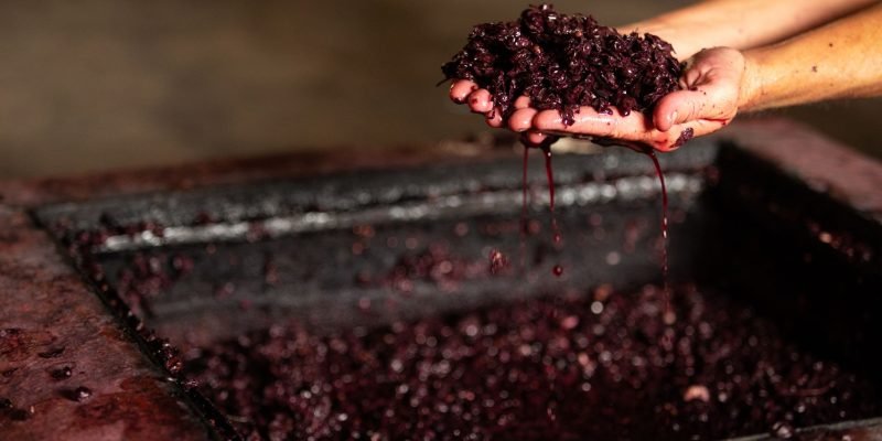 vino-filtrado
